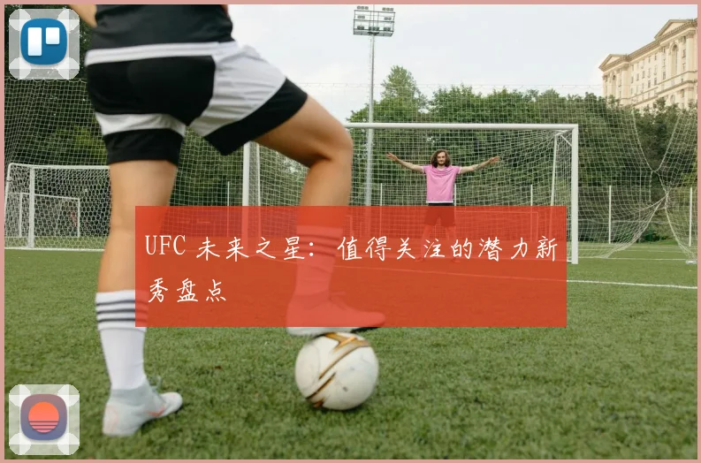 UFC 未来之星:值得关注的潜力新秀盘点